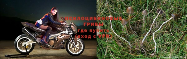 марихуана Навашино